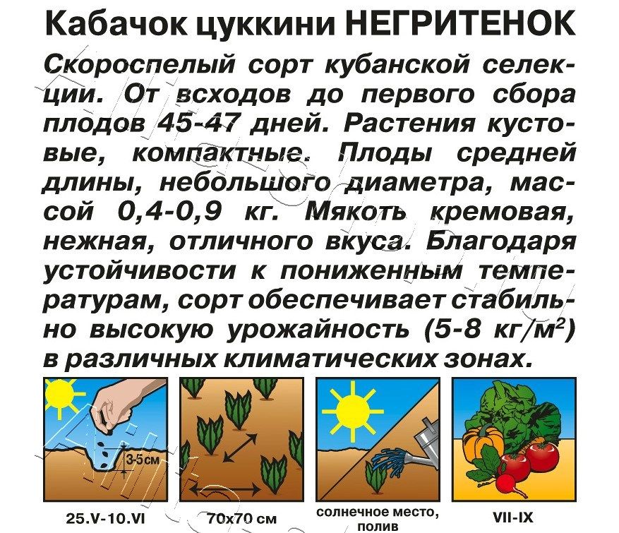 Кабачок цуккини Негритенок 2г