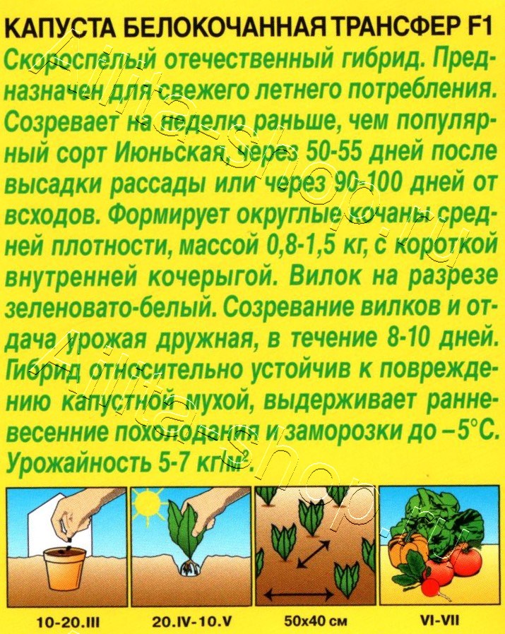 Капуста белокочанная Трансфер F1 0,1г