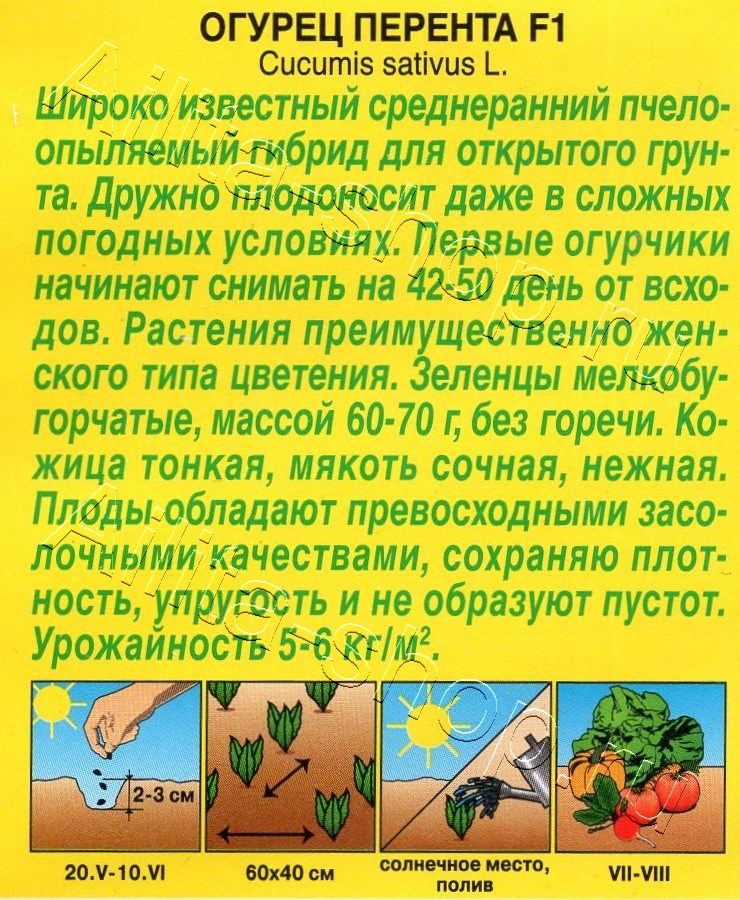 Огурец Перента F1 10шт