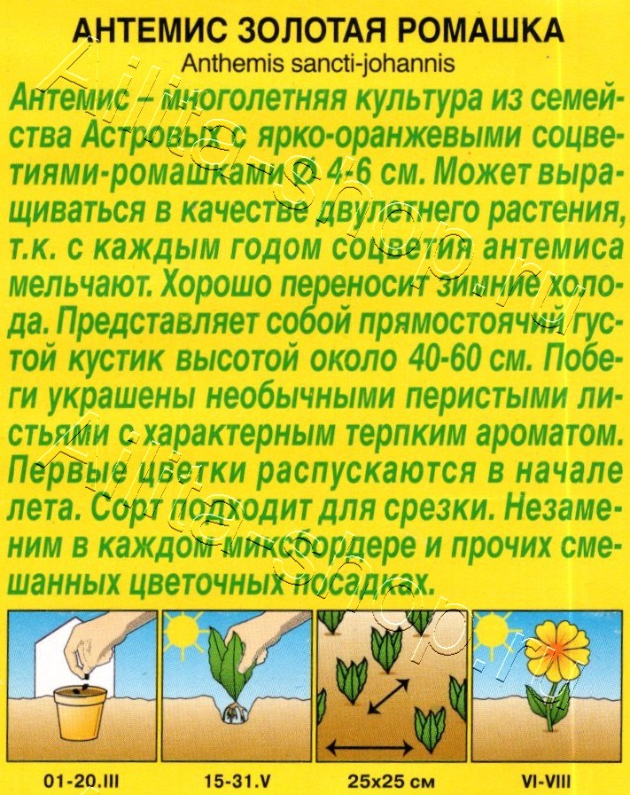 Антемис Золотая ромашка 0,1г