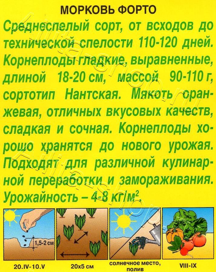 Морковь Форто 2г