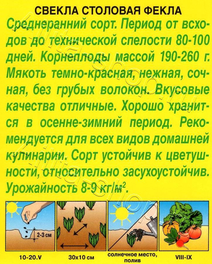Свекла столовая Фекла 3г