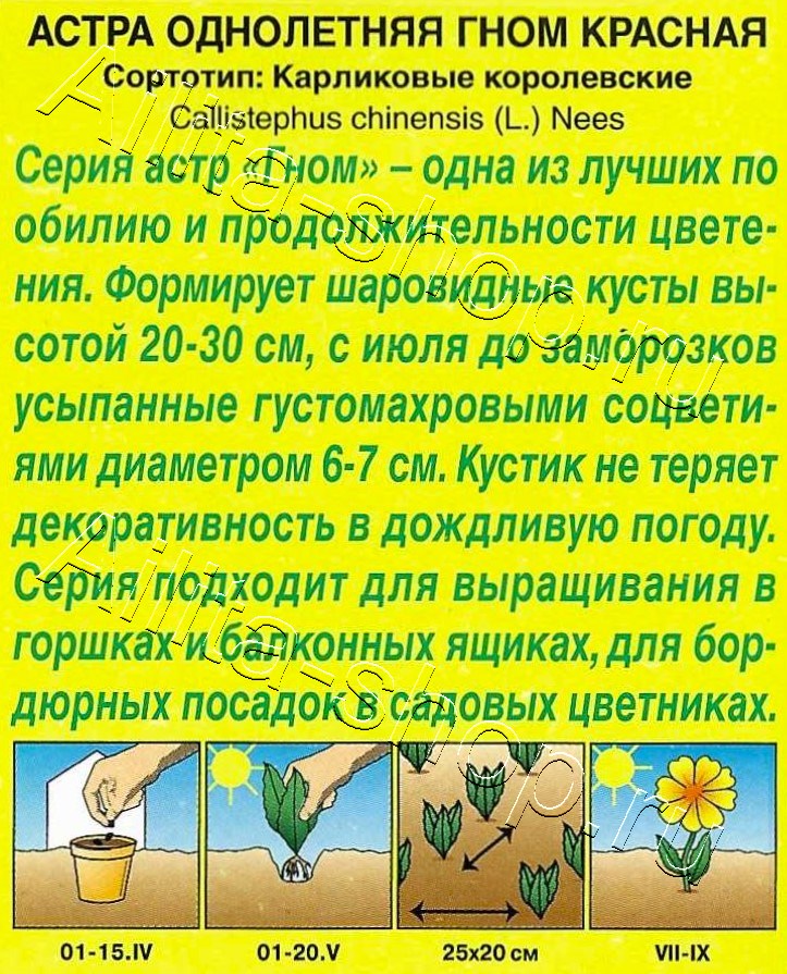 Астра Гном красная 0,2г