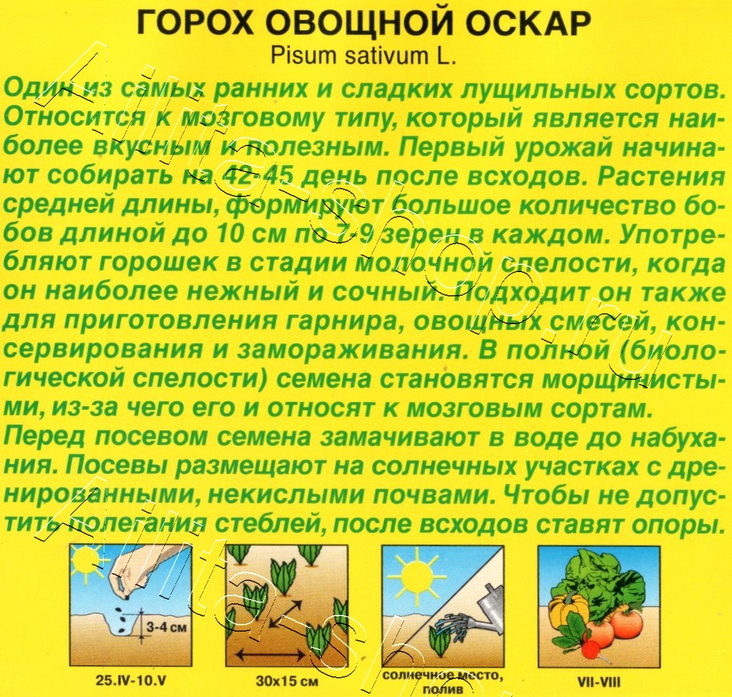 Горох овощной Оскар 25г