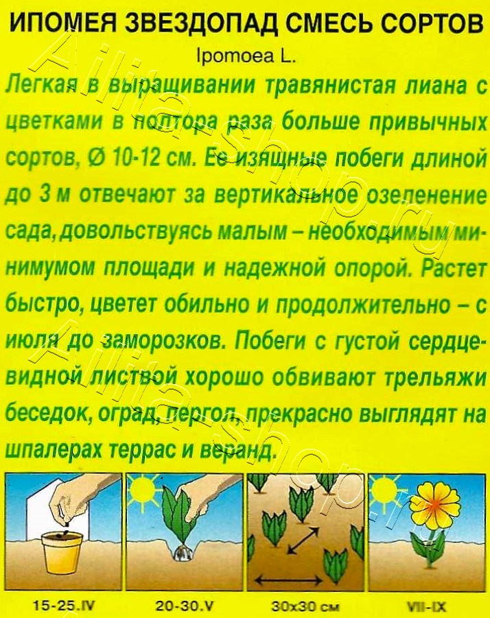 Ипомея Звездопад, смесь сортов 9шт