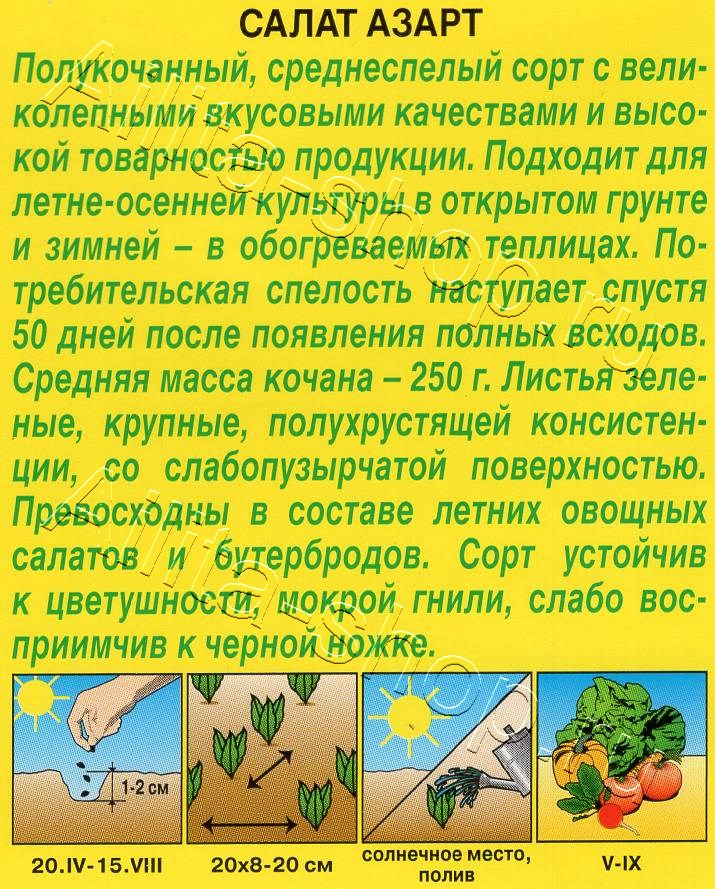 Салат Азарт полукочанный 0,5г