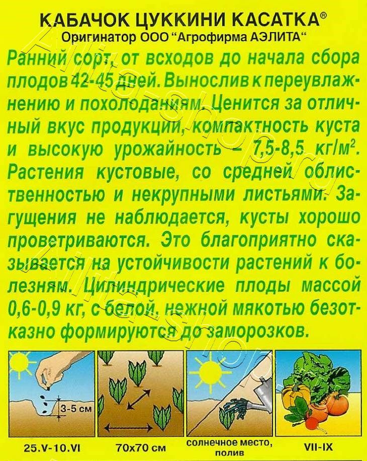 Кабачок цуккини Касатка 2г