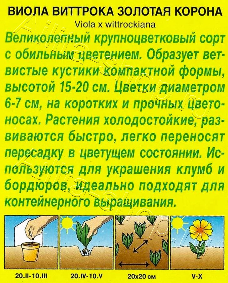 Виола Золотая корона 20шт