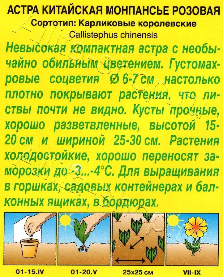 Астра Монпансье розовая 0,2г