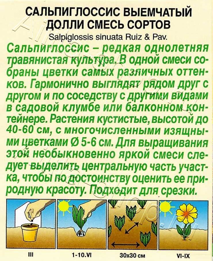 Сальпиглоссис Долли, смесь сортов 0,02г