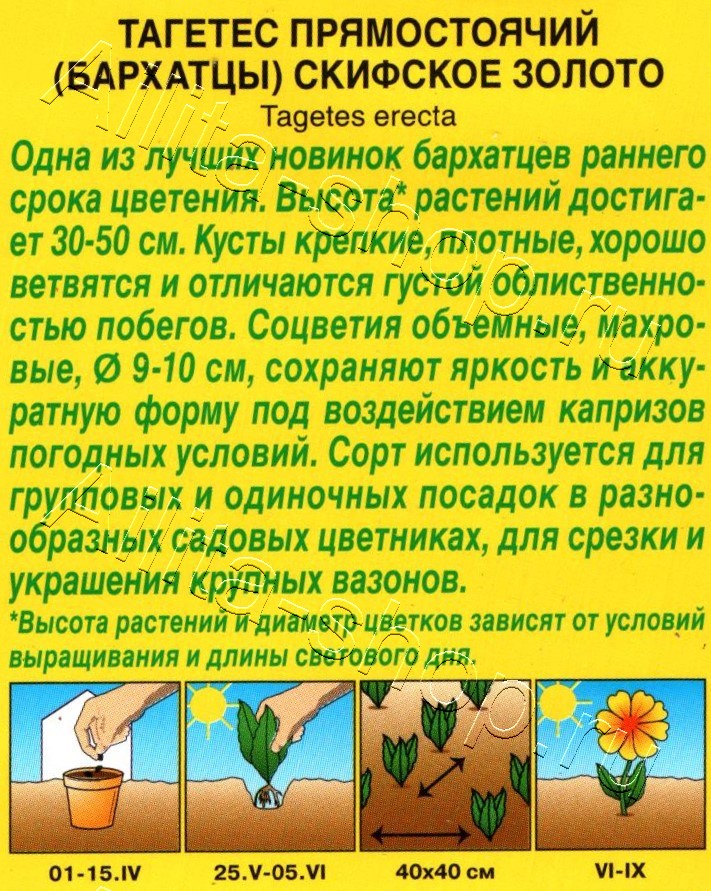 Бархатцы Скифское золото прямостоячие 0,1г