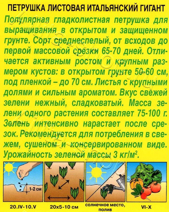 Петрушка листовая Итальянский гигант 2г