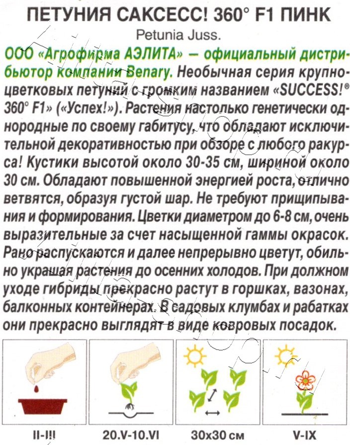 Петуния САКСЕСС! 360° F1 Пинк 7шт