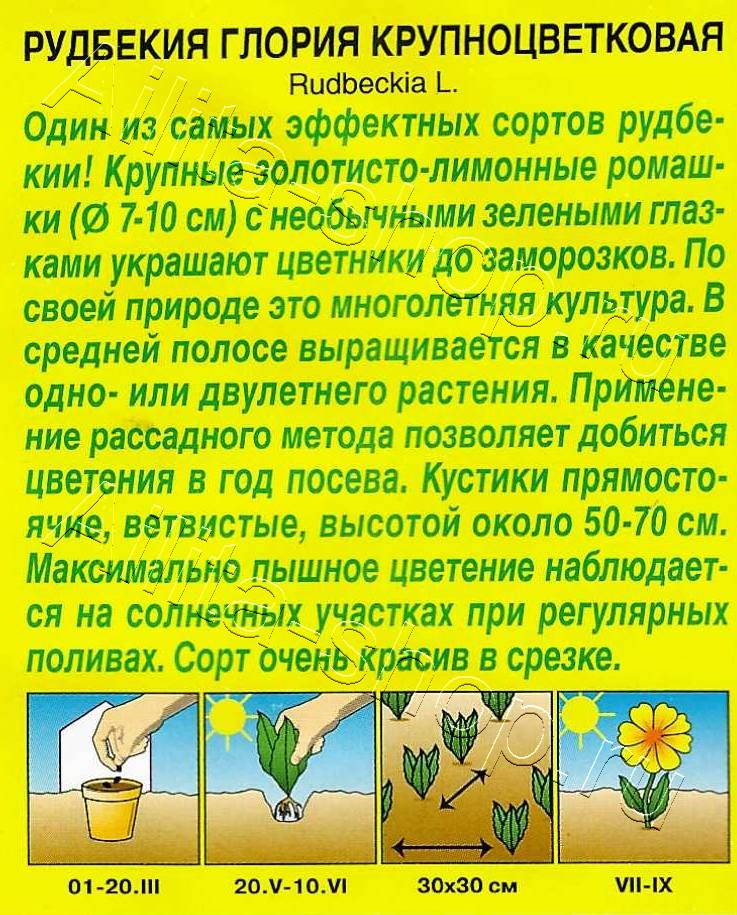 Рудбекия Глория крупноцветковая 0,05г