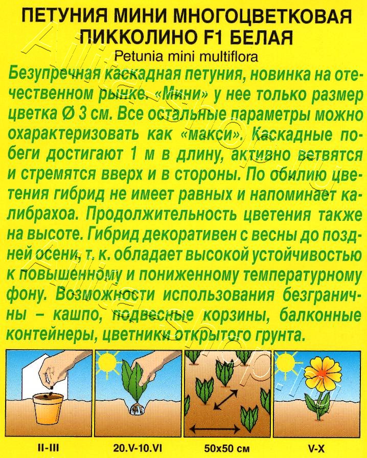 Петуния мини Пикколино F1 белая 5шт