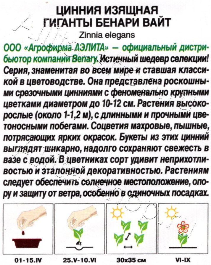 Цинния Гиганты Бенари вайт 7шт