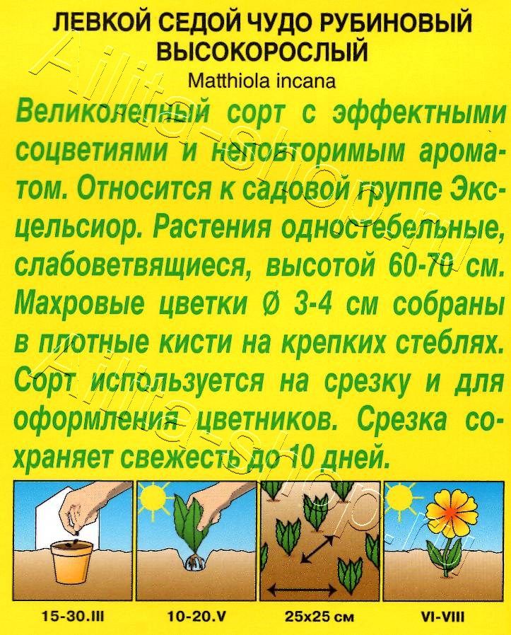 Левкой высокорослый Чудо рубиновый 0,1г