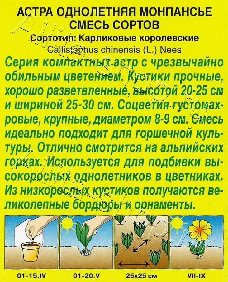 Астра Монпансье, смесь окрасок 0,2г