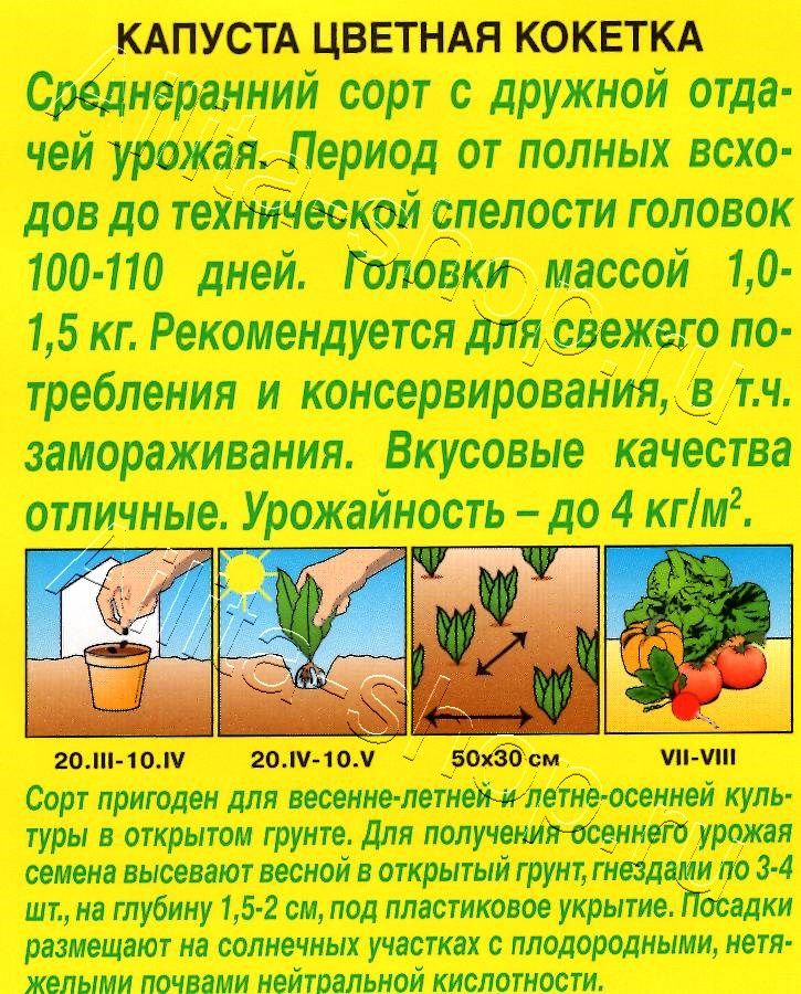 Капуста цветная Кокетка 0,3г