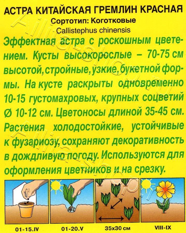 Астра Гремлин красная 0,2г