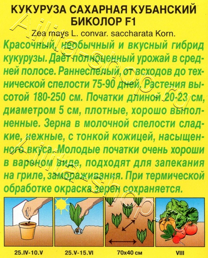 Кукуруза сахарная Кубанский биколор F1 5шт