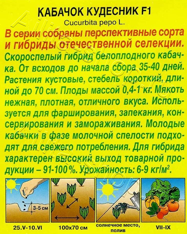 Кабачок белоплодный Кудесник F1 1г