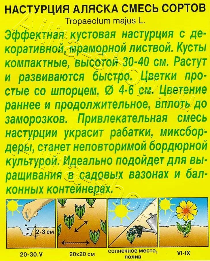 Настурция Аляска, смесь окрасок 1г