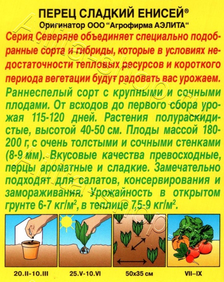 Перец сладкий Енисей 20шт