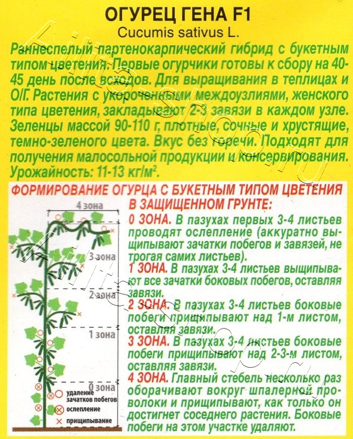 Огурец Гена F1 10шт
