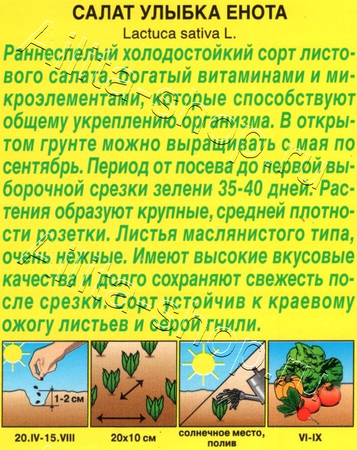 Салат Улыбка енота 0,1г