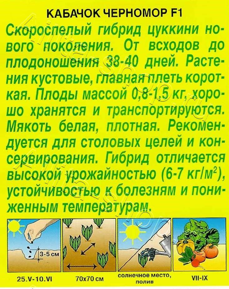 Кабачок цуккини Черномор F1 1г