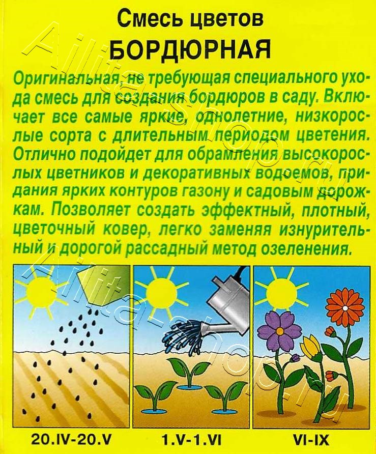 Смесь цветов Бордюрная 2г