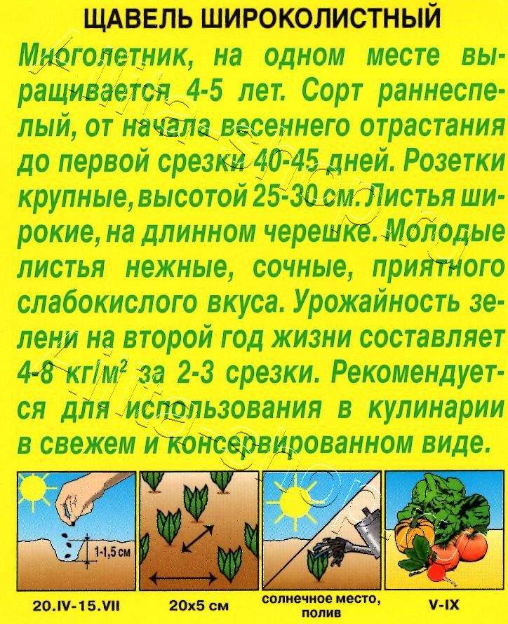 Щавель Широколистный 0,5г