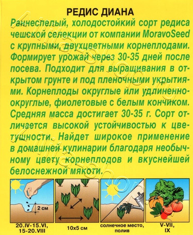 Редис Диана 2г