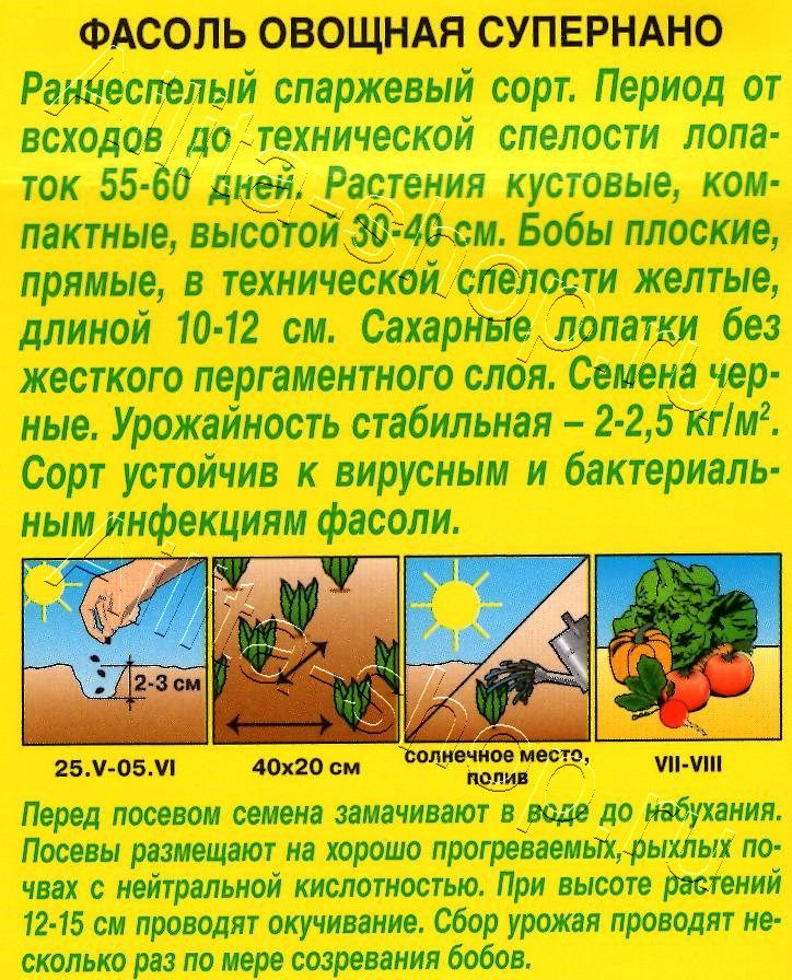 Фасоль овощная Супернано 5г