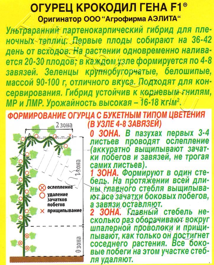 Огурец Крокодил Гена F1 10шт