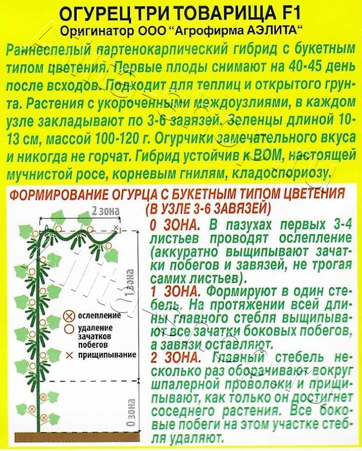 Огурец Три товарища F1 10шт