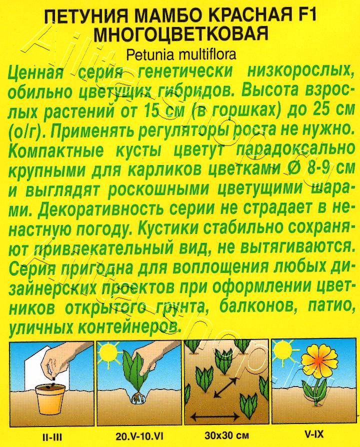 Петуния Мамбо F1 красная многоцветковая 7шт