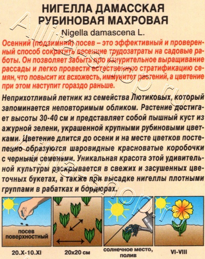 Нигелла Рубиновая махровая 0,3г