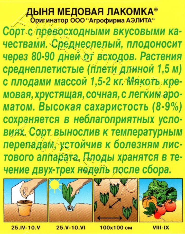 Дыня Медовая лакомка 1г