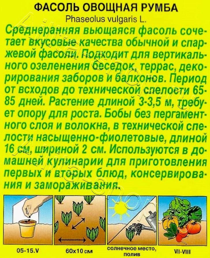 Фасоль овощная Румба 5г