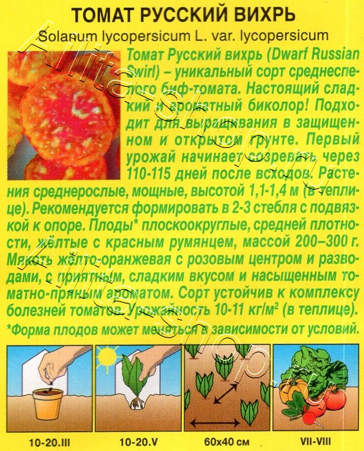 Томат Русский вихрь 10шт