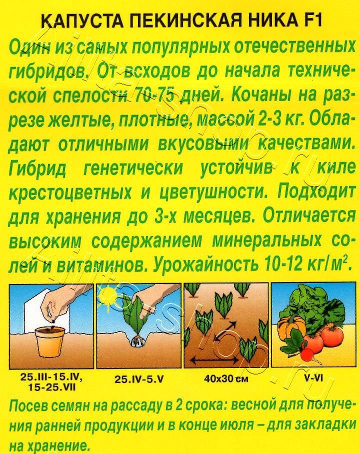 Капуста Пекинская Ника F1 0,3г