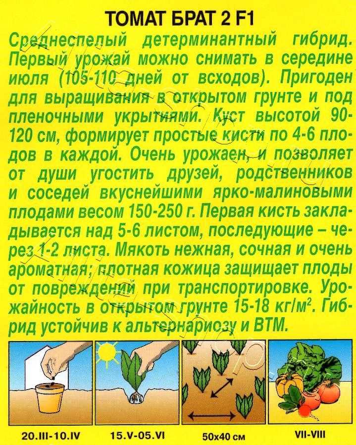 Томат Брат 2 F1 10шт