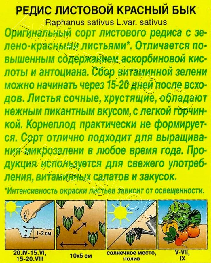 Редис листовой Красный бык 1г