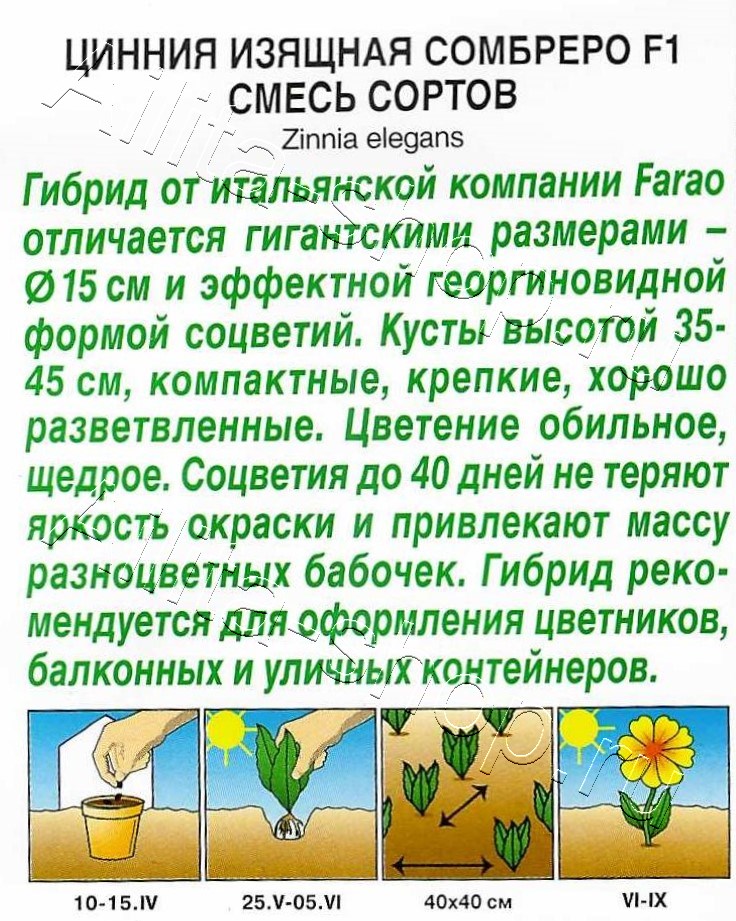 Цинния Сомбреро F1, смесь окрасок 12шт