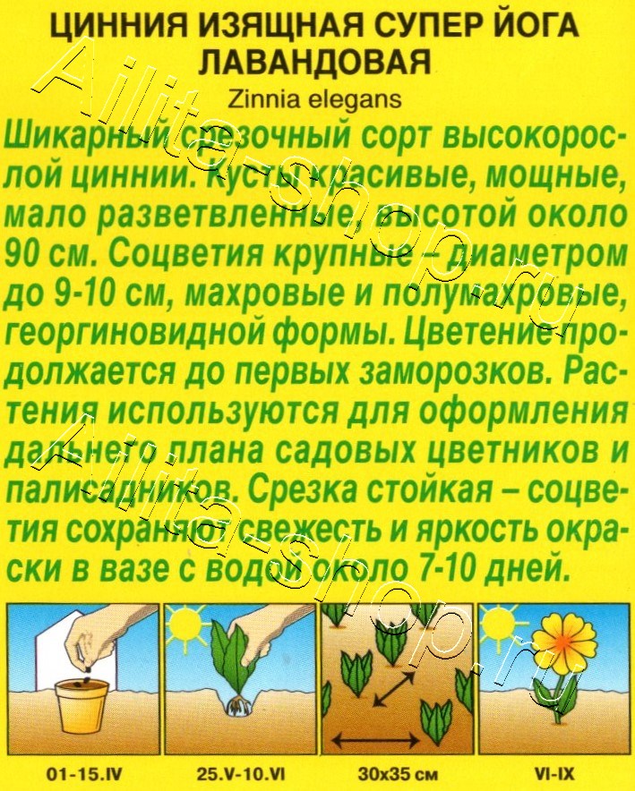 Цинния Супер йога лавандовая 0,3г