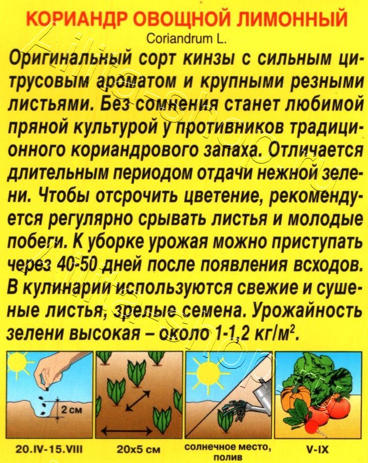 Кориандр овощной Лимонный 0,5г