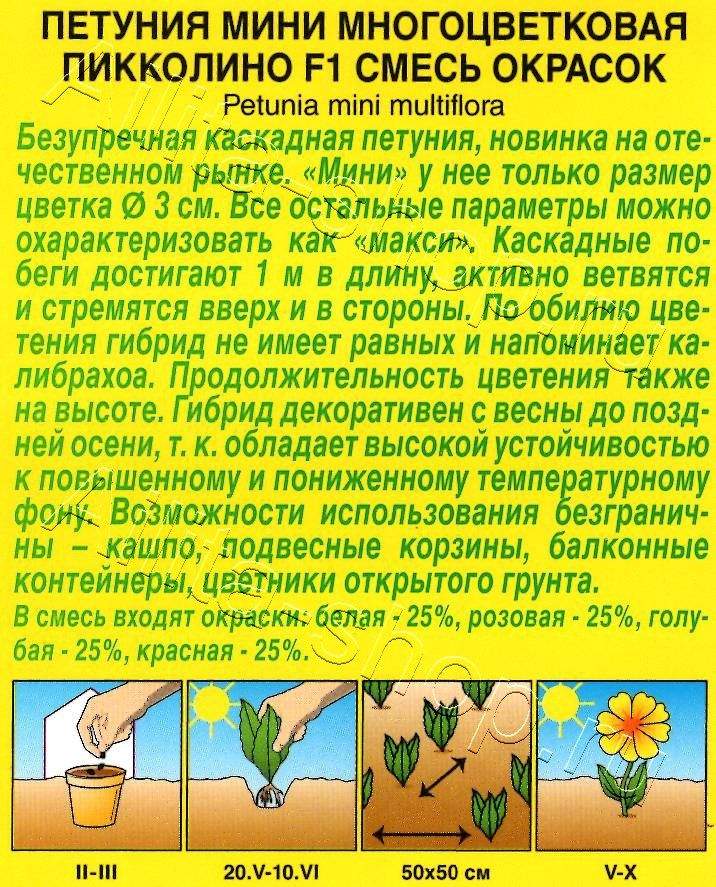 Петуния мини Пикколино F1, смесь окрасок 7шт