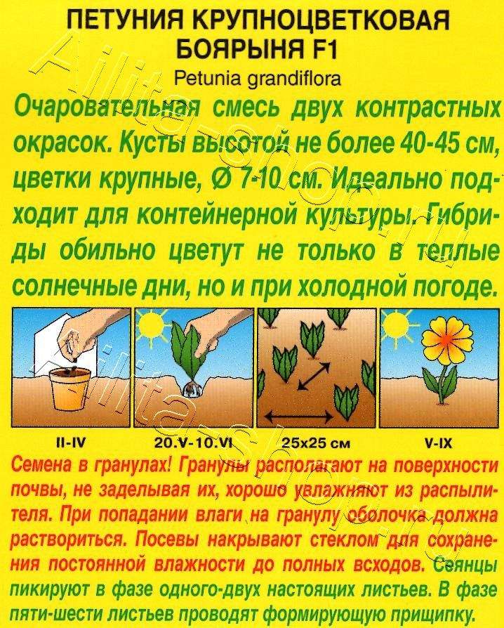 Петуния Боярыня F1 крупноцветковая, смесь окрасок 10шт